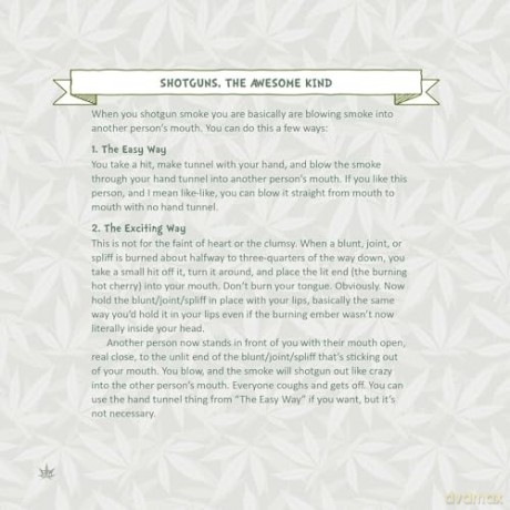 Little Book Of Weed Games - Mr Bud [KSIĄŻKA]