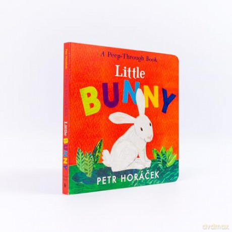Little Bunny - Petr Horacek [KSIĄŻKA]