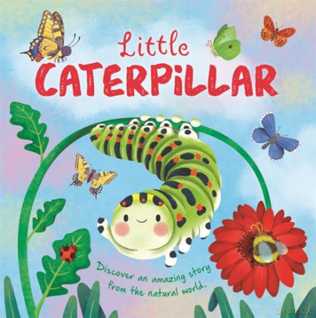 Little Caterpillar [KSIĄŻKA]