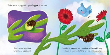 Little Caterpillar [KSIĄŻKA]