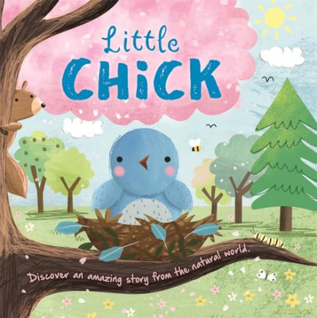 Little Chick [KSIĄŻKA]