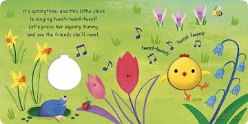 Little Chicks Springtime - Danielle Mclean [KSIĄŻKA]