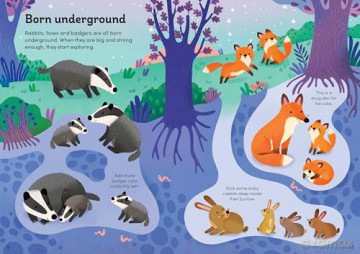 Little First Stickers Baby Animals - Jane Bingham [KSIĄŻKA]