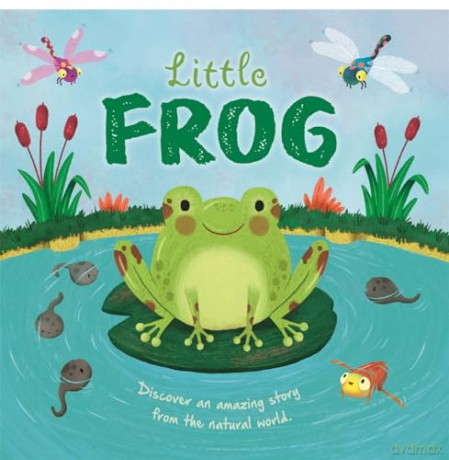 Little Frog [KSIĄŻKA]