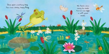 Little Frog [KSIĄŻKA]