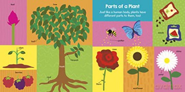 Little Gardeners First 100 Words - Tenisha Bernal [KSIĄŻKA]