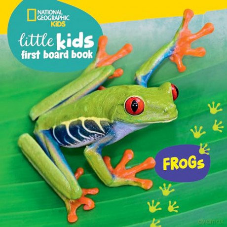 Little Kids First Board Book Frogs - Ruth Musgrave [KSIĄŻKA]