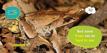 Little Kids First Board Book Frogs - Ruth Musgrave [KSIĄŻKA]