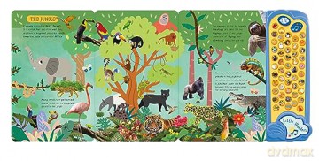 Little Wonders Animals Sound Book - Rebecca Bagley [KSIĄŻKA]