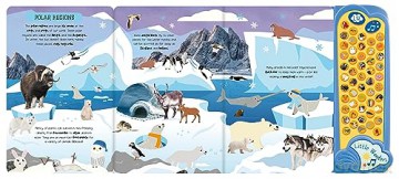 Little Wonders Animals Sound Book - Rebecca Bagley [KSIĄŻKA]