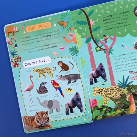 Little Wonders Animals Sound Book - Rebecca Bagley [KSIĄŻKA]