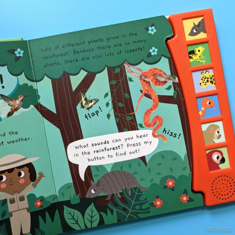 Little Wonders Noisy Rainforest - Julia Seal [KSIĄŻKA]