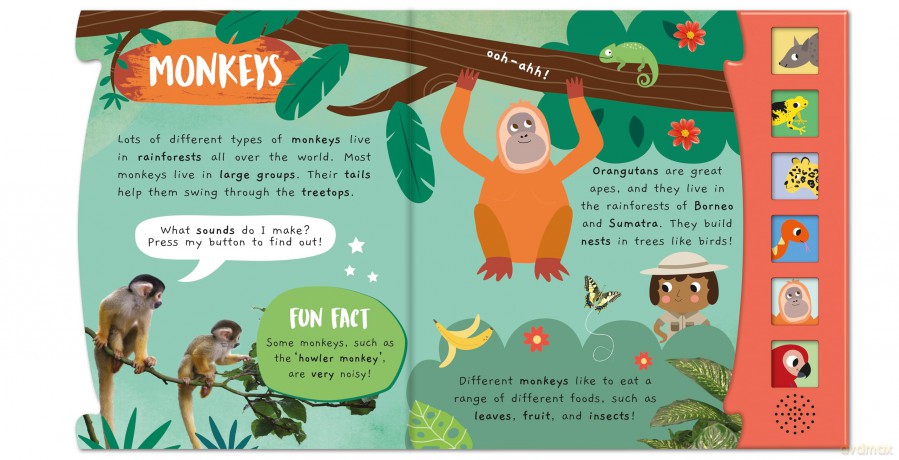 Little Wonders Noisy Rainforest - Julia Seal [KSIĄŻKA]