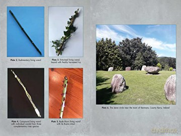Living Wands Of The Druids - Jon G Hughes [KSIĄŻKA]