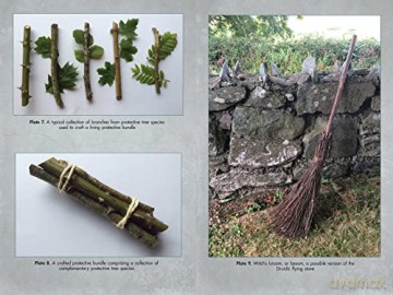 Living Wands Of The Druids - Jon G Hughes [KSIĄŻKA]
