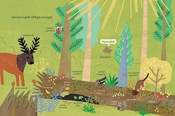 Log Life - Amy Hevron [KSIĄŻKA]