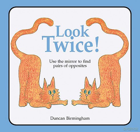Look Twice - Duncan Birmingham [KSIĄŻKA]