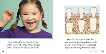 Losing A Tooth - Nicole A. Mansfield [KSIĄŻKA]