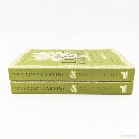 Lost Carving - David Esterly [KSIĄŻKA]