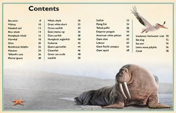Magnificent Book Of Ocean Creatures - Tom Jackson [KSIĄŻKA]
