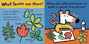 Maisy Loves Trees - Lucy Cousins [KSIĄŻKA]