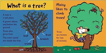 Maisy Loves Trees - Lucy Cousins [KSIĄŻKA]