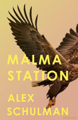 Malma Station - Alex Schulman [KSIĄŻKA]
