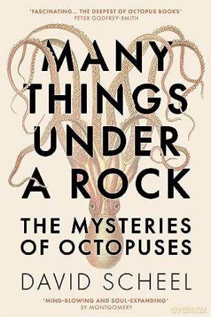 Many Things Under A Rock - David Scheel [KSIĄŻKA]
