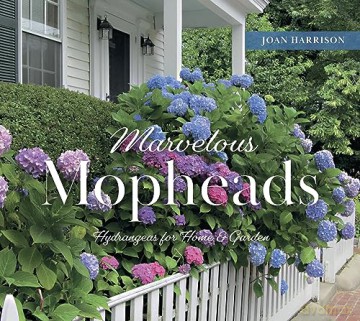 Marvelous Mopheads - Joan Harrison [KSIĄŻKA]