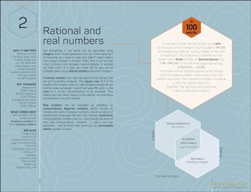 Maths 100 Ideas In 100 Words - Dk [KSIĄŻKA]