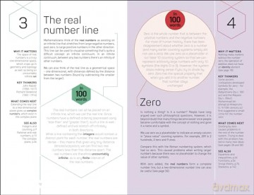 Maths 100 Ideas In 100 Words - Dk [KSIĄŻKA]