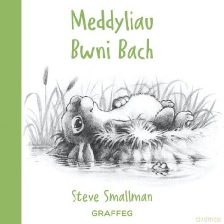 Meddyliau Bwni Bach - Steve Smallman [KSIĄŻKA]