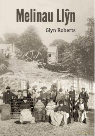 Melinau Lln - lyn Roberts [KSIĄŻKA]