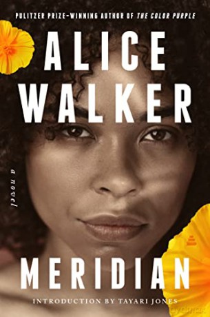 Meridian - Alice Walker [KSIĄŻKA]