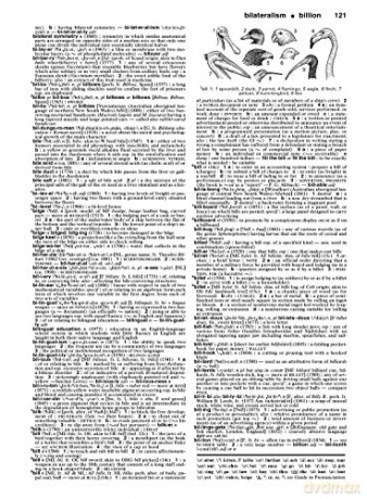 Merriam Websters Collegiate Dictionary [KSIĄŻKA]