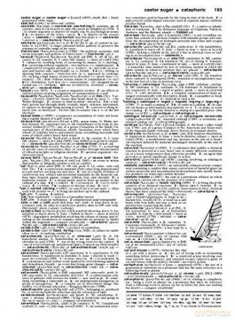 Merriam Websters Collegiate Dictionary [KSIĄŻKA]