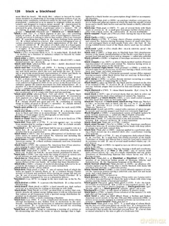 Merriam Websters Collegiate Dictionary [KSIĄŻKA]