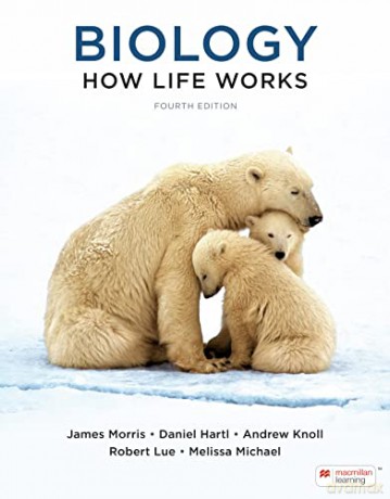 Mie How Life Works 4e - Morris James [KSIĄŻKA]