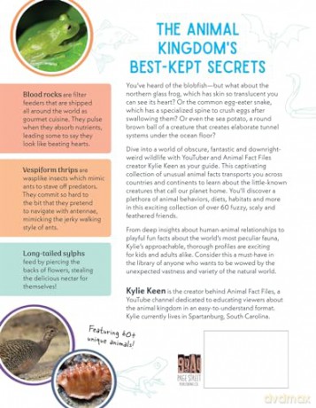 Mindblowing Facts About The Plan - Kylie Keen [KSIĄŻKA]