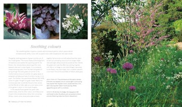 Mindful Garden - Stephanie Donaldson [KSIĄŻKA]