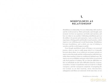 Mindful Relationships - Richard Chambers [KSIĄŻKA]