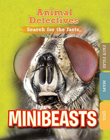 Minibeasts - O'daly Anne [KSIĄŻKA]