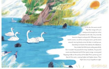 Miracle Of The Grey Swans - Zhao Lihong [KSIĄŻKA]