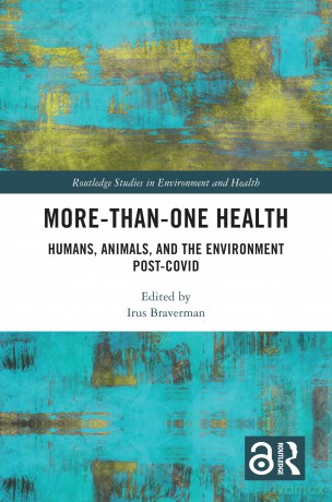 Morethanone Health - Irus Braverman [KSIĄŻKA]