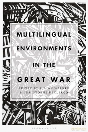 Multilingual Environments - Walker Julian [KSIĄŻKA]