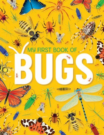 My First Book Of Bugs - Emily Kington [KSIĄŻKA]