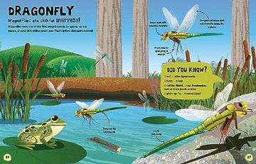 My First Book Of Bugs - Emily Kington [KSIĄŻKA]