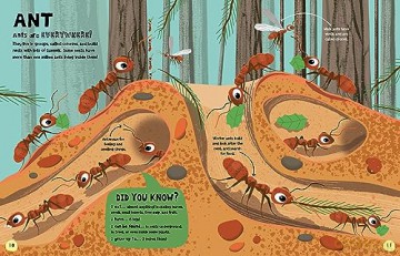 My First Book Of Bugs - Emily Kington [KSIĄŻKA]