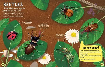 My First Book Of Bugs - Emily Kington [KSIĄŻKA]