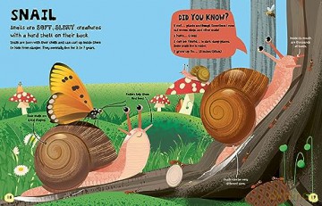 My First Book Of Bugs - Emily Kington [KSIĄŻKA]